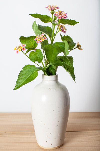 Bottles-bud vases